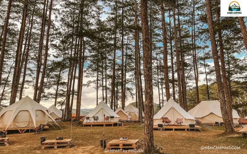 15 địa điểm glamping ở Việt Nam đẹp, tiện nghi nhất hiện nay 9 CampArt by Mợ Jen – Địa điểm glamping ở Việt Nam giữa rừng thông Đà Lạt