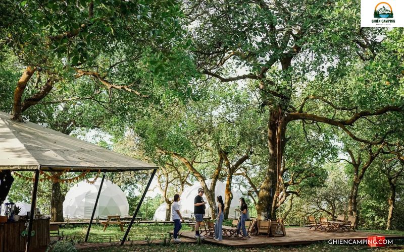 Glamping dành cho cặp đôi - Trải nghiệm lãng mạn giữa thiên nhiên 12 Tropical EGlamping (Đồng Nai)