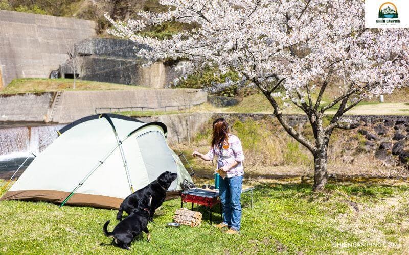 13 kinh nghiệm cắm trại cùng thú cưng mà các con sen cần biết 7 Mang theo đồ chơi quen thuộc cho thú cưng khi đi cắm trại
