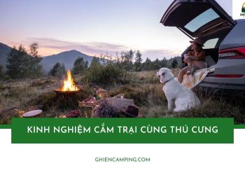 13 kinh nghiệm cắm trại cùng thú cưng mà các con sen cần biết