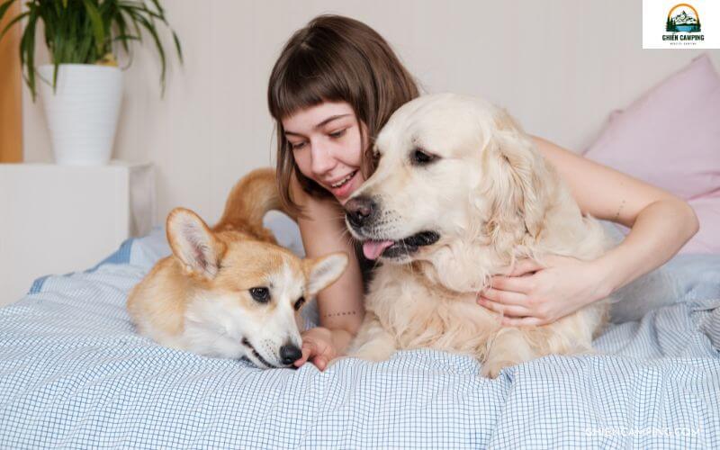 13 kinh nghiệm cắm trại cùng thú cưng mà các con sen cần biết 9 Cho thú cưng làm quen với cắm trại tại nhà