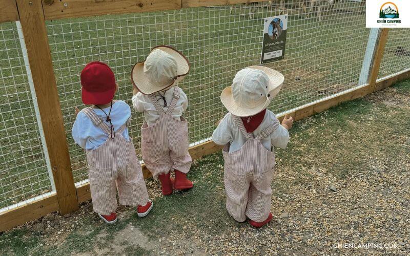 Review Vietgangz Glamping Club SaiGon: Giá vé, tiện nghi từ A - Z 12 Khu vui chơi cho trẻ em tại Vietgangz Glamping Club SaiGon