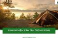 Kinh nghiệm cắm trại trong rừng từ các chuyên gia camping lâu năm